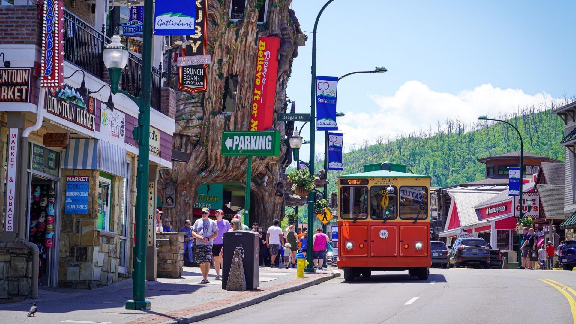 Gatlinburg Trolley Gatlinburg Trolley