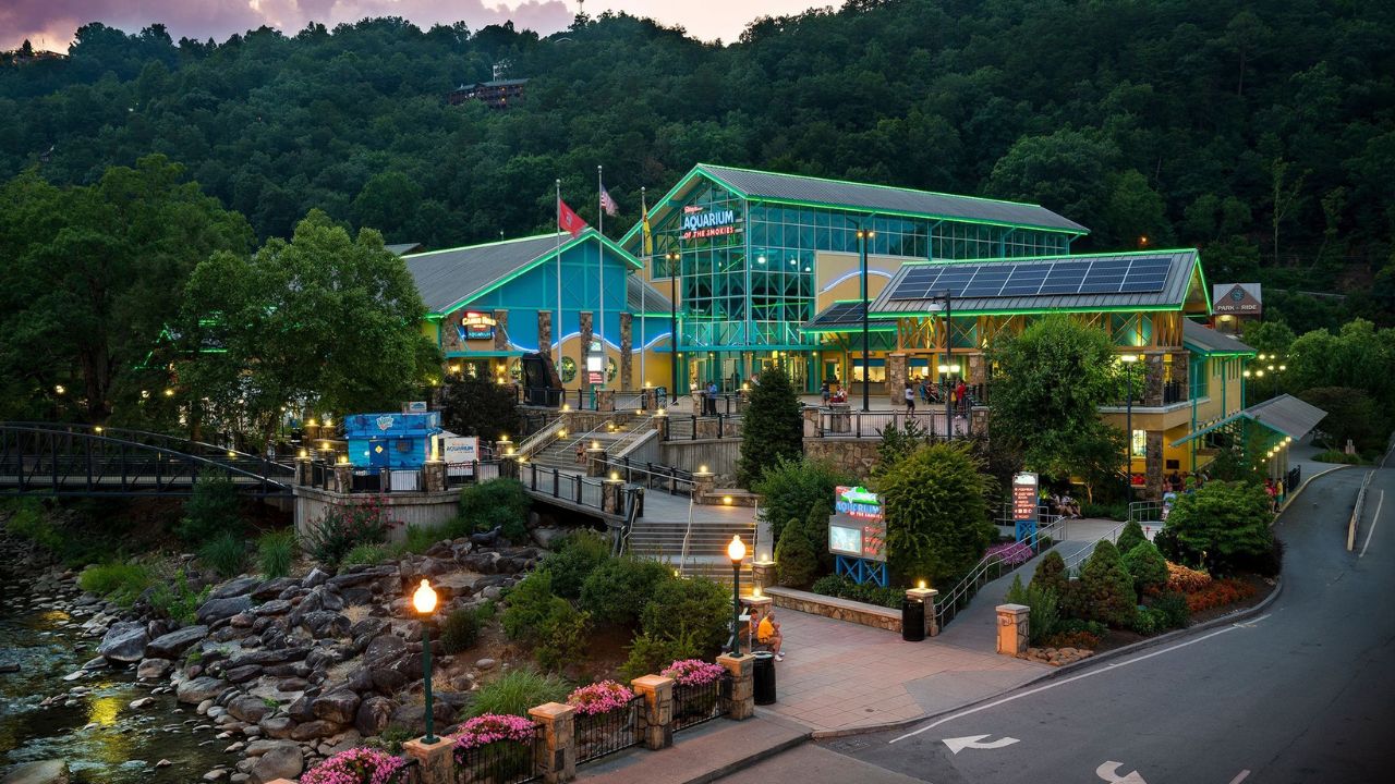 Top 9 Family Activities Near Gatlinburg Cabin Rentals Top 9 Family Activities Near Gatlinburg Cabin Rentals