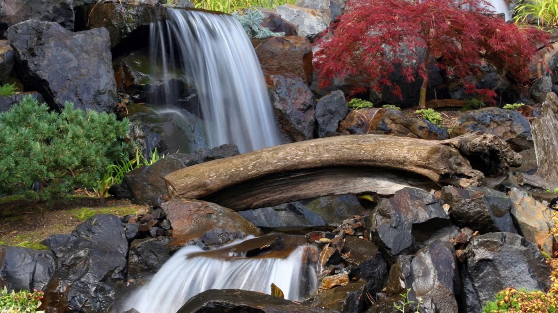 Waterfalls, Ponds, and Landscaping Features That Wow Guests
