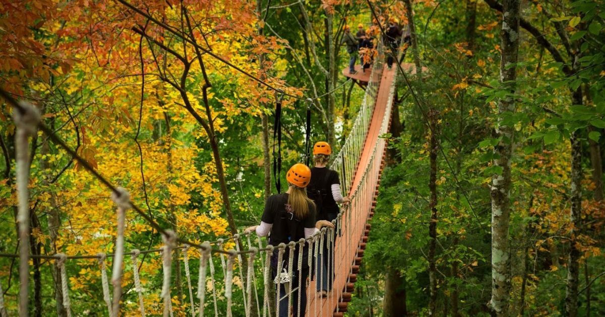 The 5 Best Gatlinburg Zipline Courses The 5 Best Gatlinburg Zipline Courses