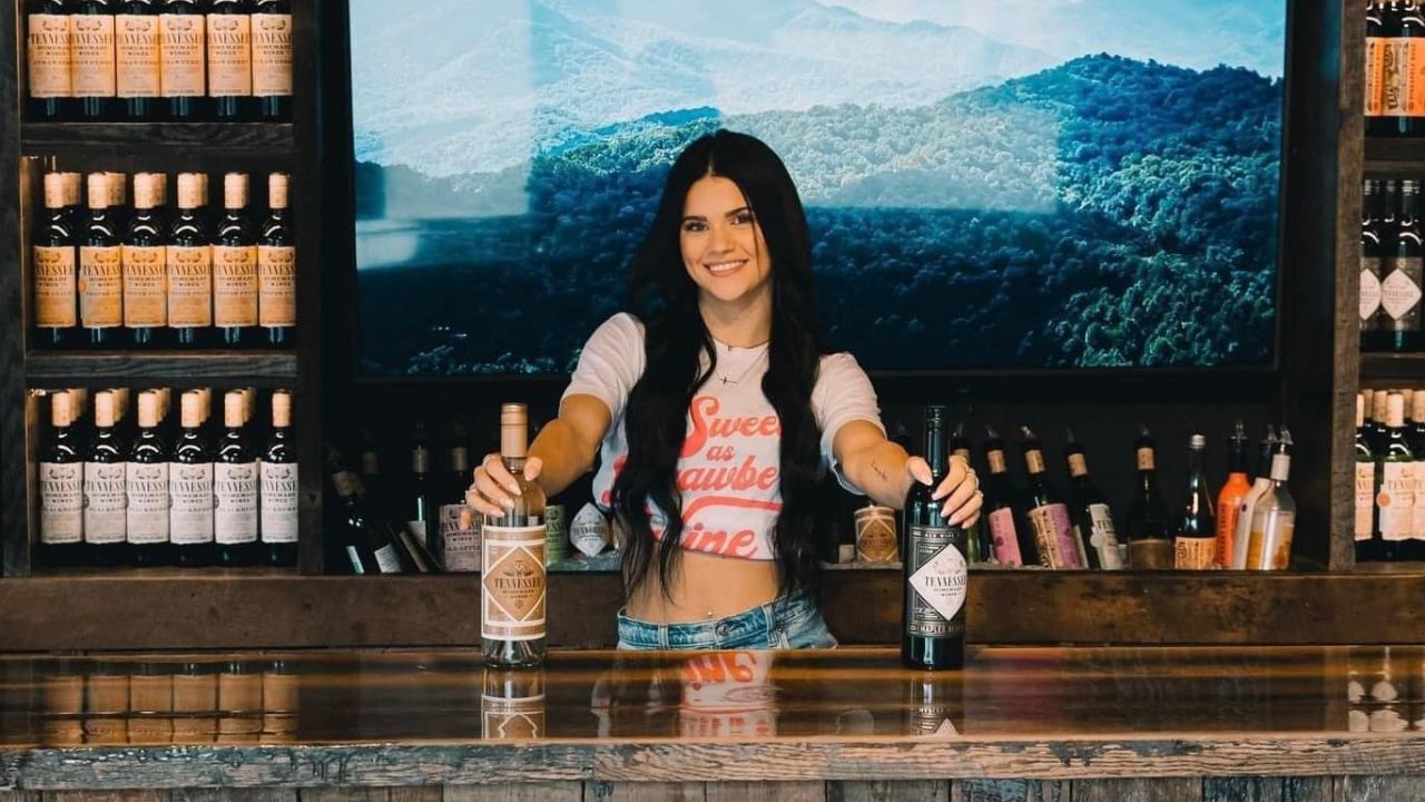 Best 4 Wineries to Visit in Gatlinburg Best 4 Wineries to Visit in Gatlinburg