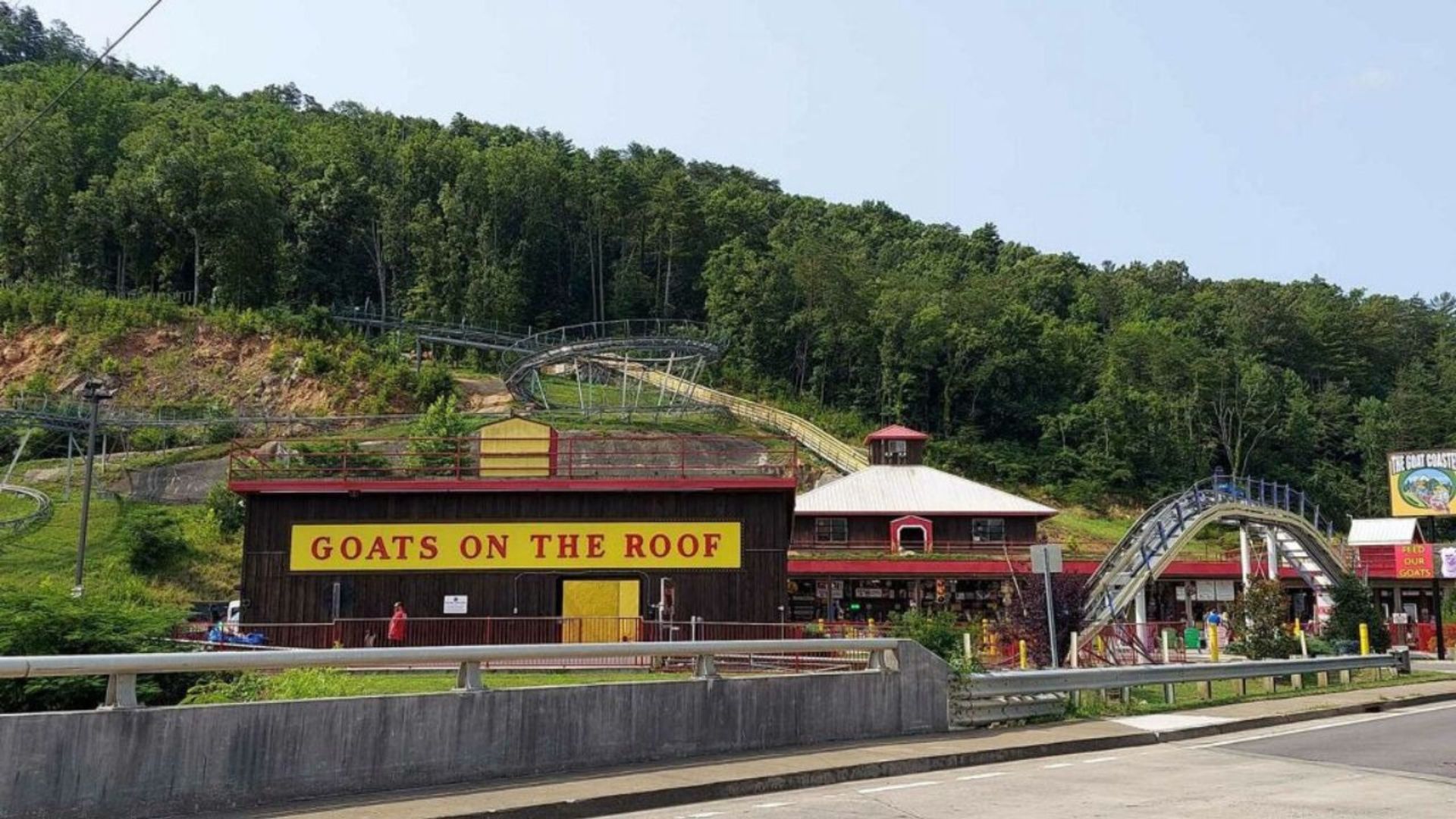 Goats on the Roof Goats on the Roof