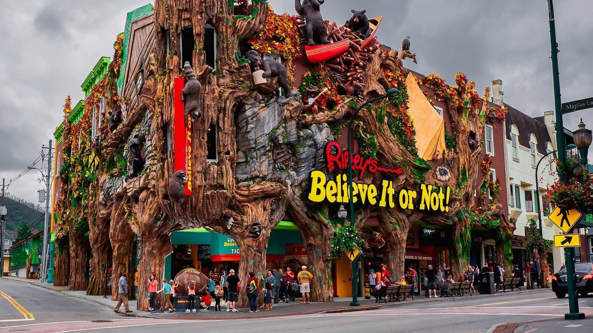 Ripley's Believe It or Not! Ripley's Believe It or Not!