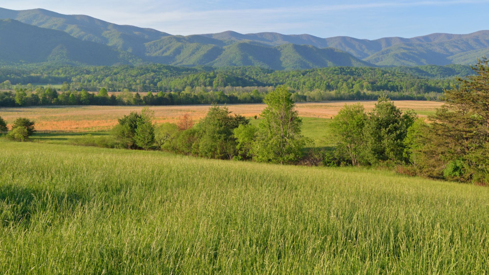 Cabins near Cades Cove