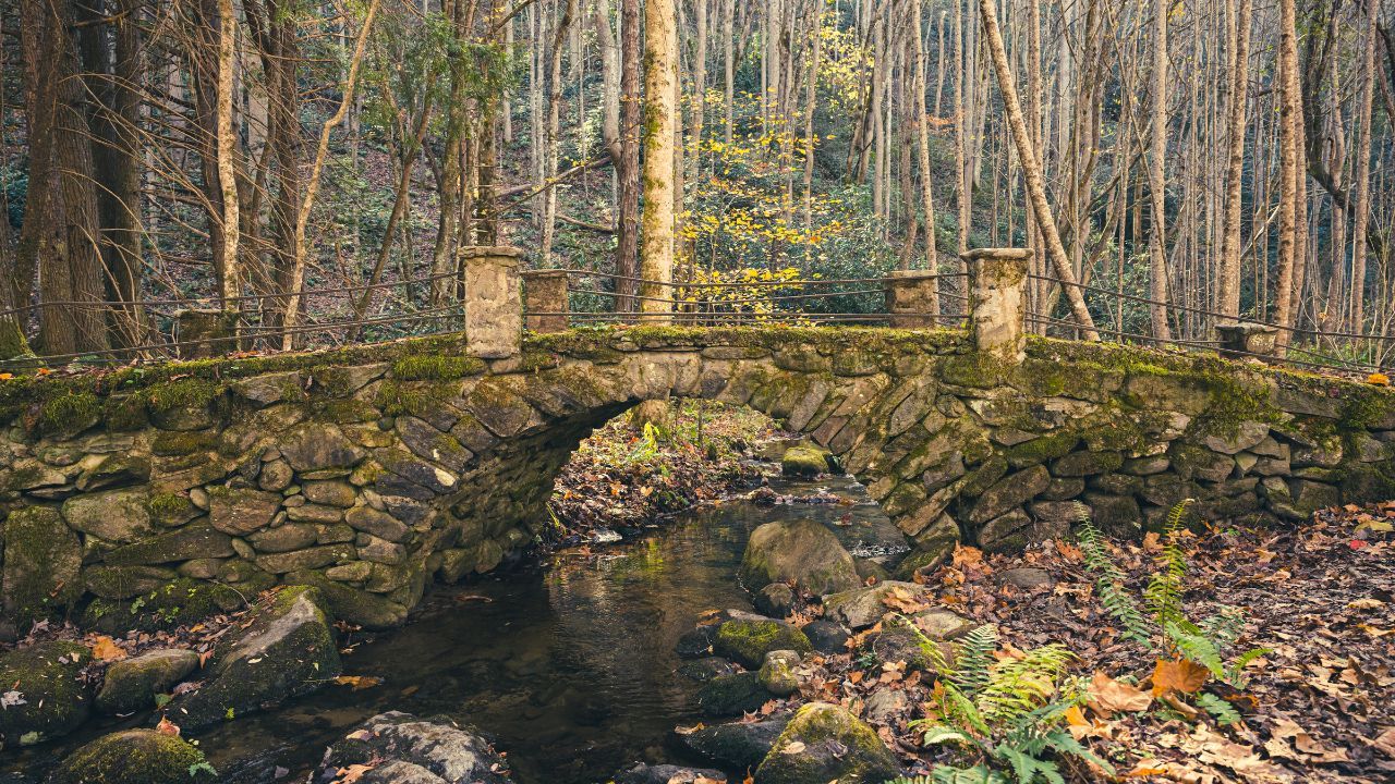 Discover a Troll Bridge in the Smoky Mountains Discover a Troll Bridge in the Smoky Mountains