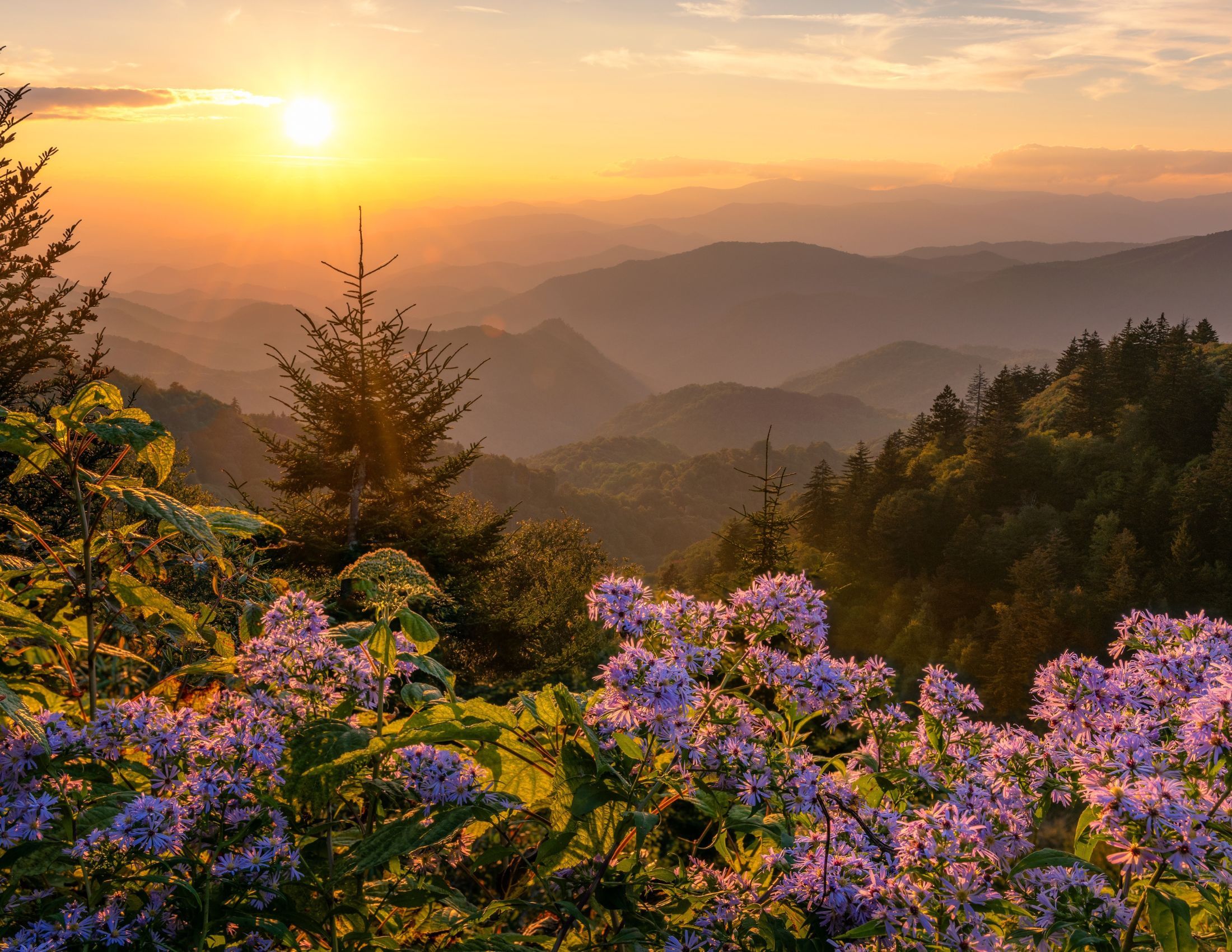 Best Sunset Spots in the Great Smoky Mountains National Park Best Sunset Spots in the Great Smoky Mountains National Park