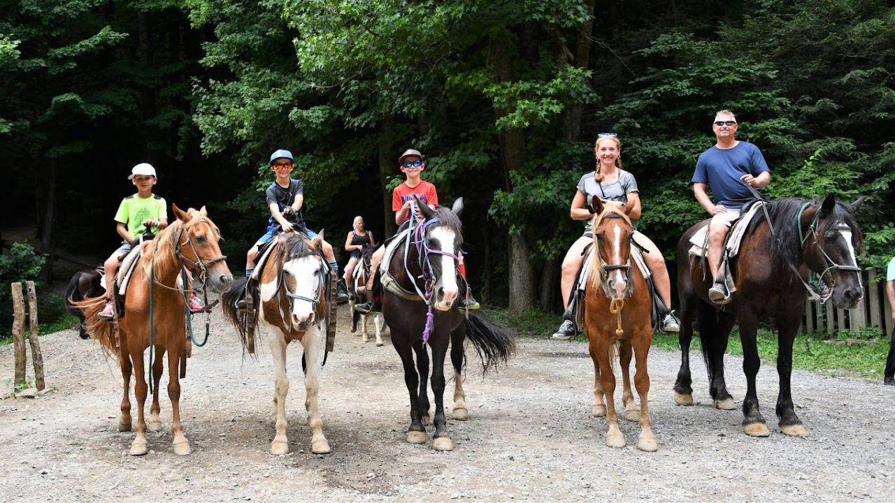 Top 4 Places to Go Horseback Riding in Gatlinburg