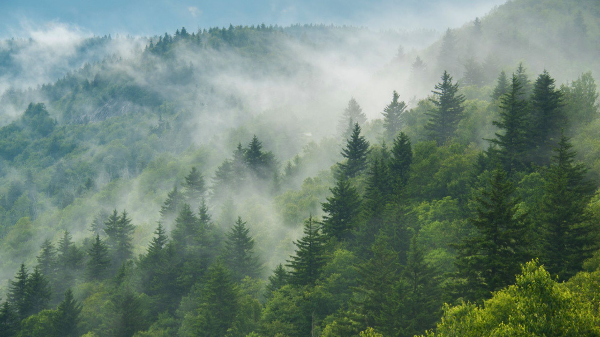 Great Smoky Mountains