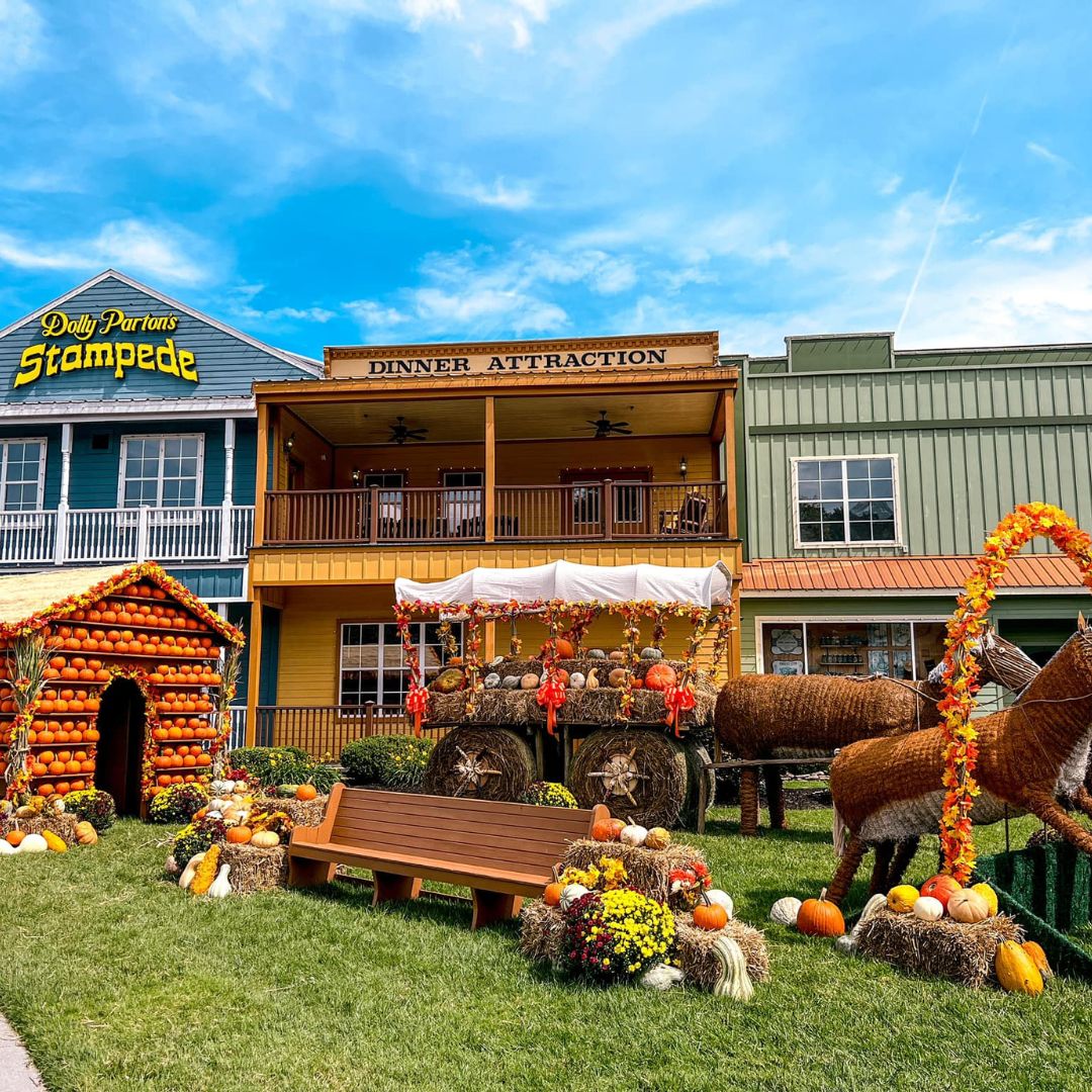 Thanksgiving Cabins