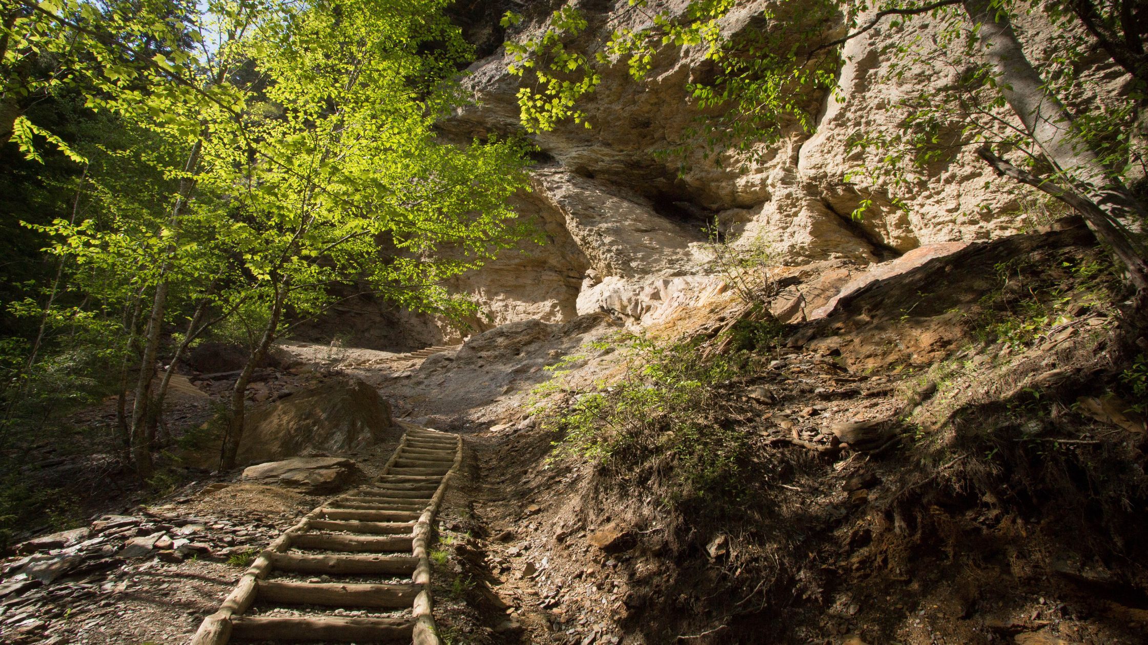 Alum Cave Alum Cave