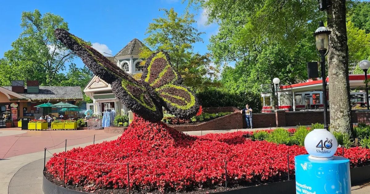 How to Have a Fun Day at Dollywood Without Going on Any Rides How to Have a Fun Day at Dollywood Without Going on Any Rides