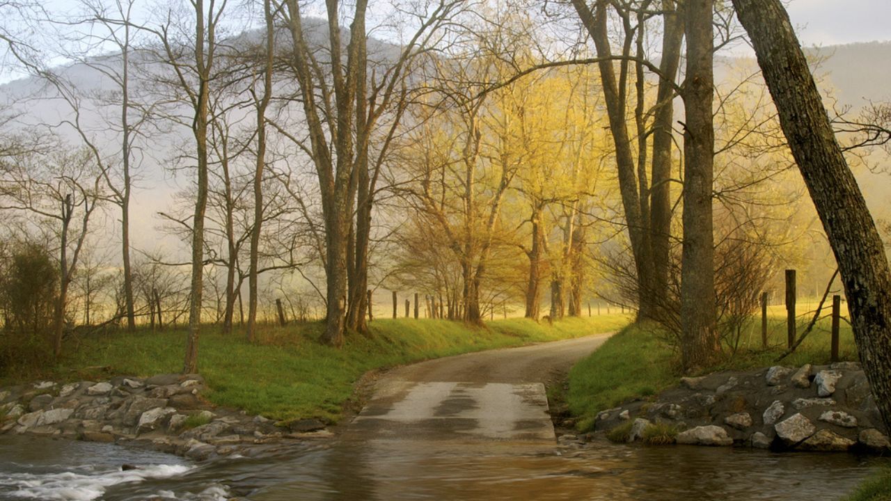 Gatlinburg & Pigeon Forge Weather Year-Round Gatlinburg & Pigeon Forge Weather Year-Round