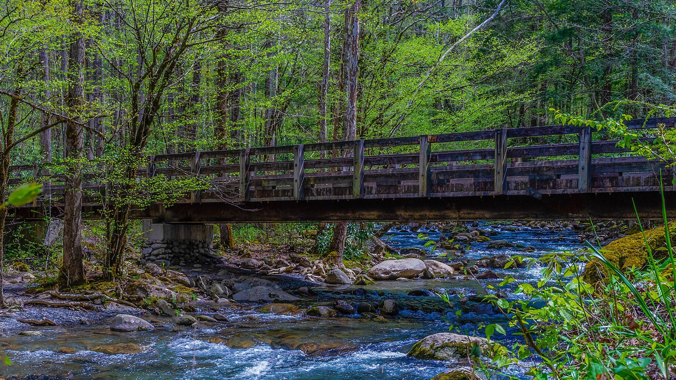 Porters Creek Trail Porters Creek Trail