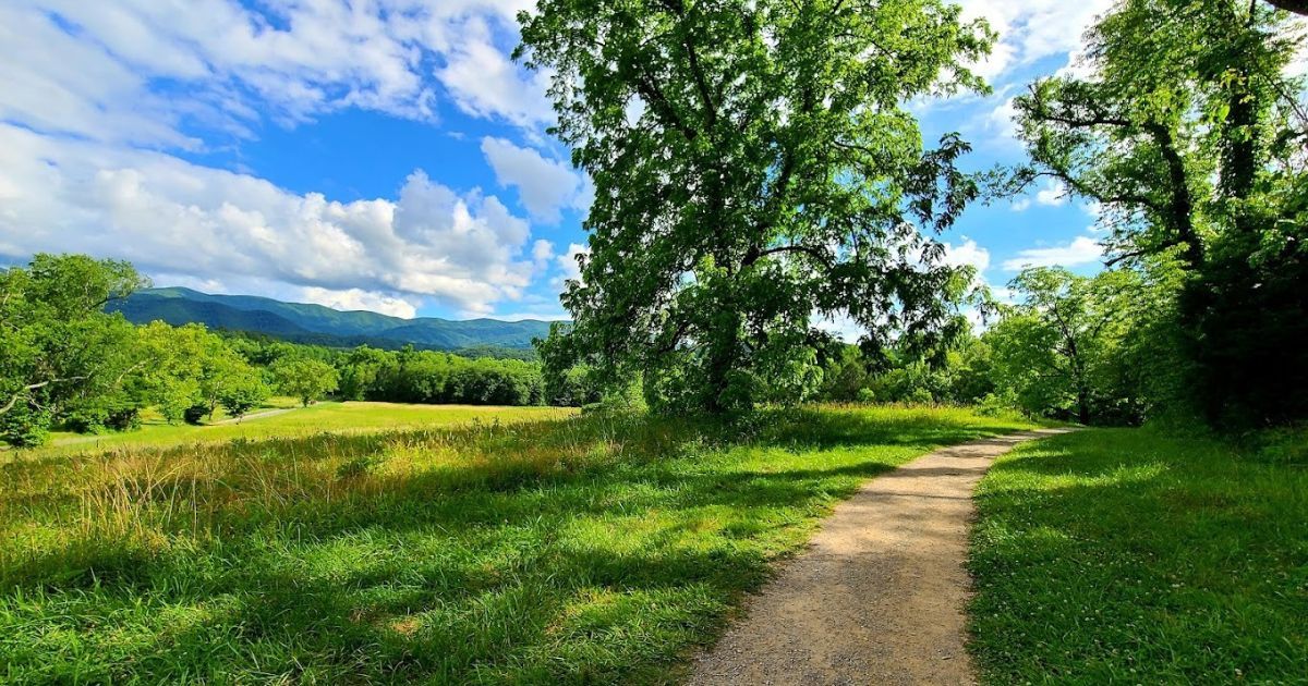 Smoky Mountains: Destination for Nature Lovers Smoky Mountains: Destination for Nature Lovers