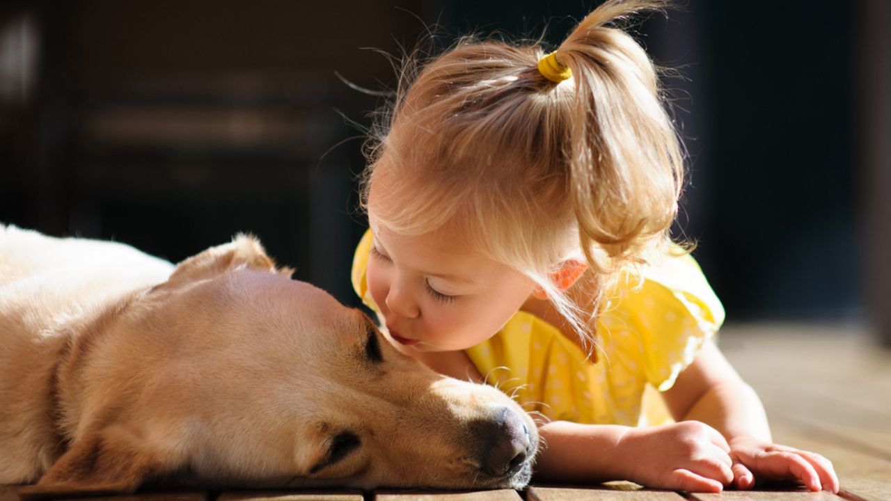 Enhance Your Vacation: Book a Pet-Friendly Cabin in Pigeon Forge Enhance Your Vacation: Book a Pet-Friendly Cabin in Pigeon Forge