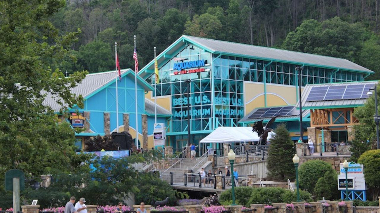 Under the Sea: A Look at Ripley's Aquarium of the Smokies Under the Sea: A Look at Ripley's Aquarium of the Smokies
