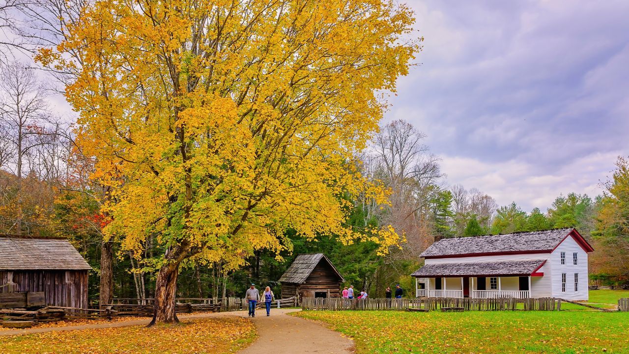 Top 3 Best Ways to Experience the Smoky Mountains Top 3 Best Ways to Experience the Smoky Mountains