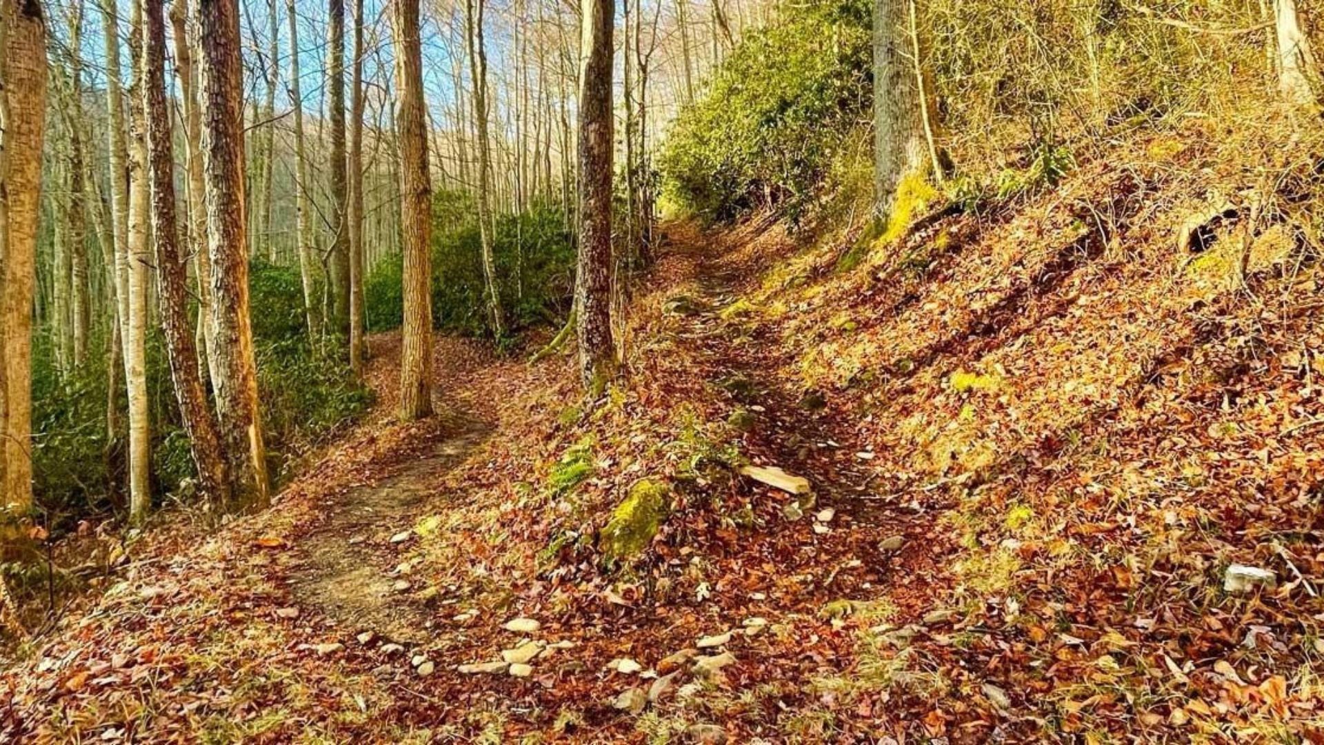 Jakes Creek Trail