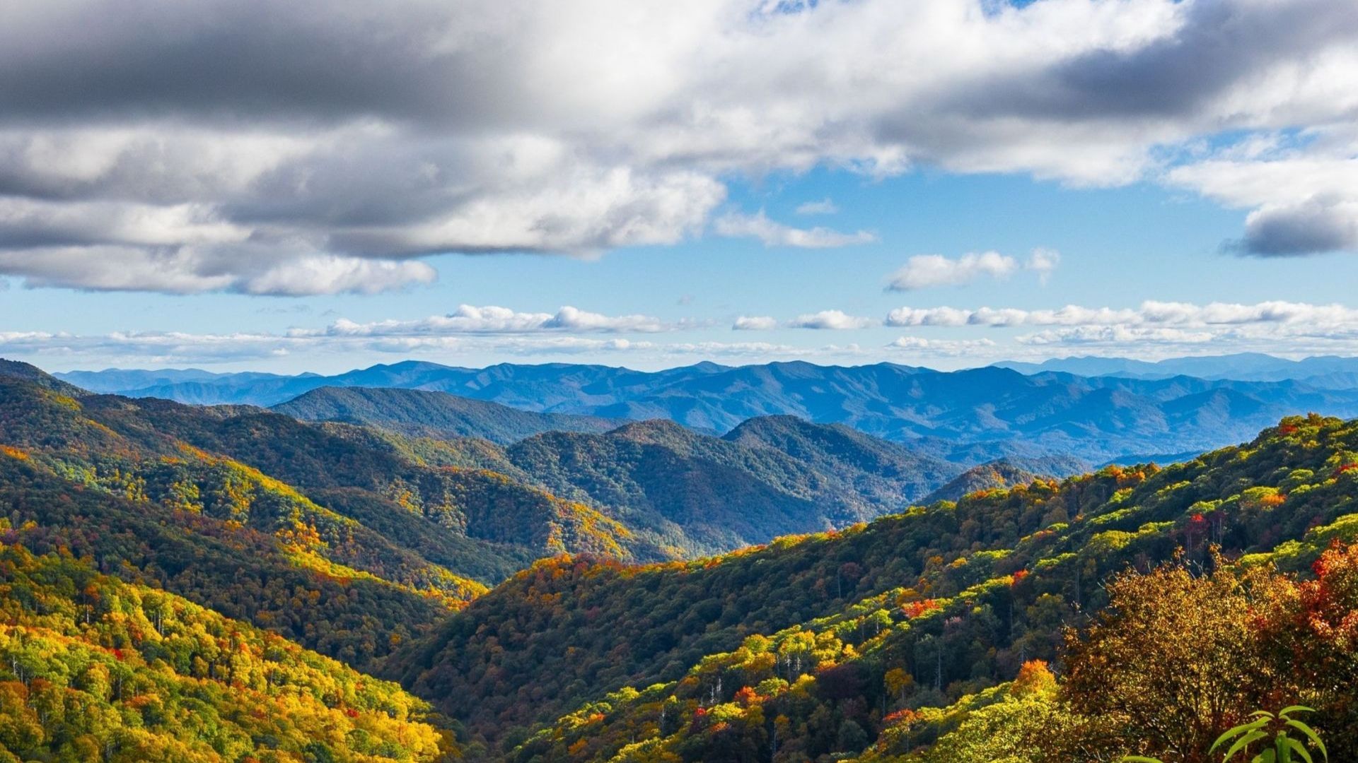 Fall in the Great Smoky Mountains: Experience the Season’s Splendor Fall in the Great Smoky Mountains: Experience the Season’s Splendor