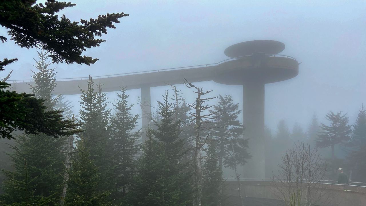 Fact or Fiction: Smoky Mountain Myths Fact or Fiction: Smoky Mountain Myths
