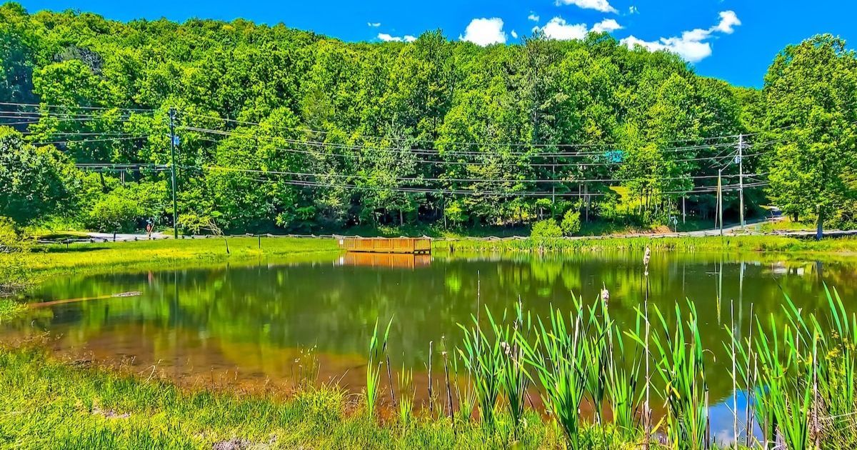 8 Great Cabins with Fishing Ponds 8 Great Cabins with Fishing Ponds