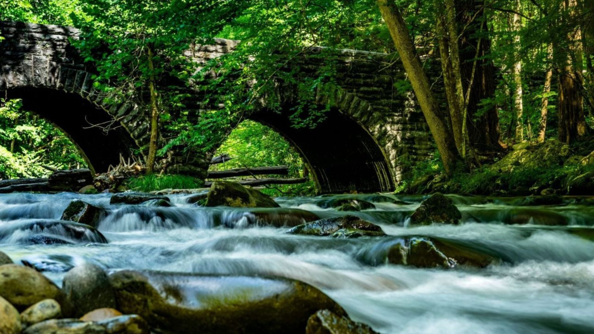 Elkmont: Historical Charm and Natural Beauty in the Smoky Mountains Elkmont: Historical Charm and Natural Beauty in the Smoky Mountains