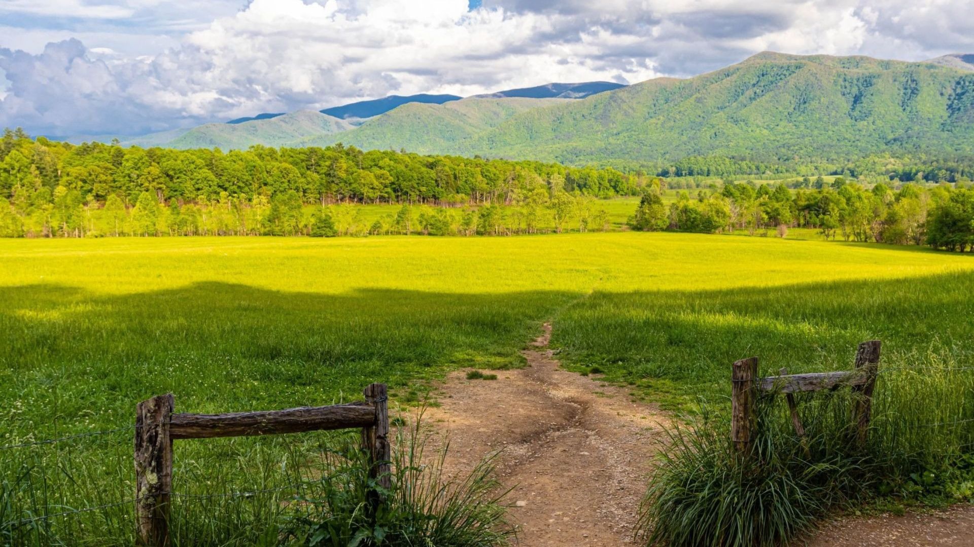 Cades Cove