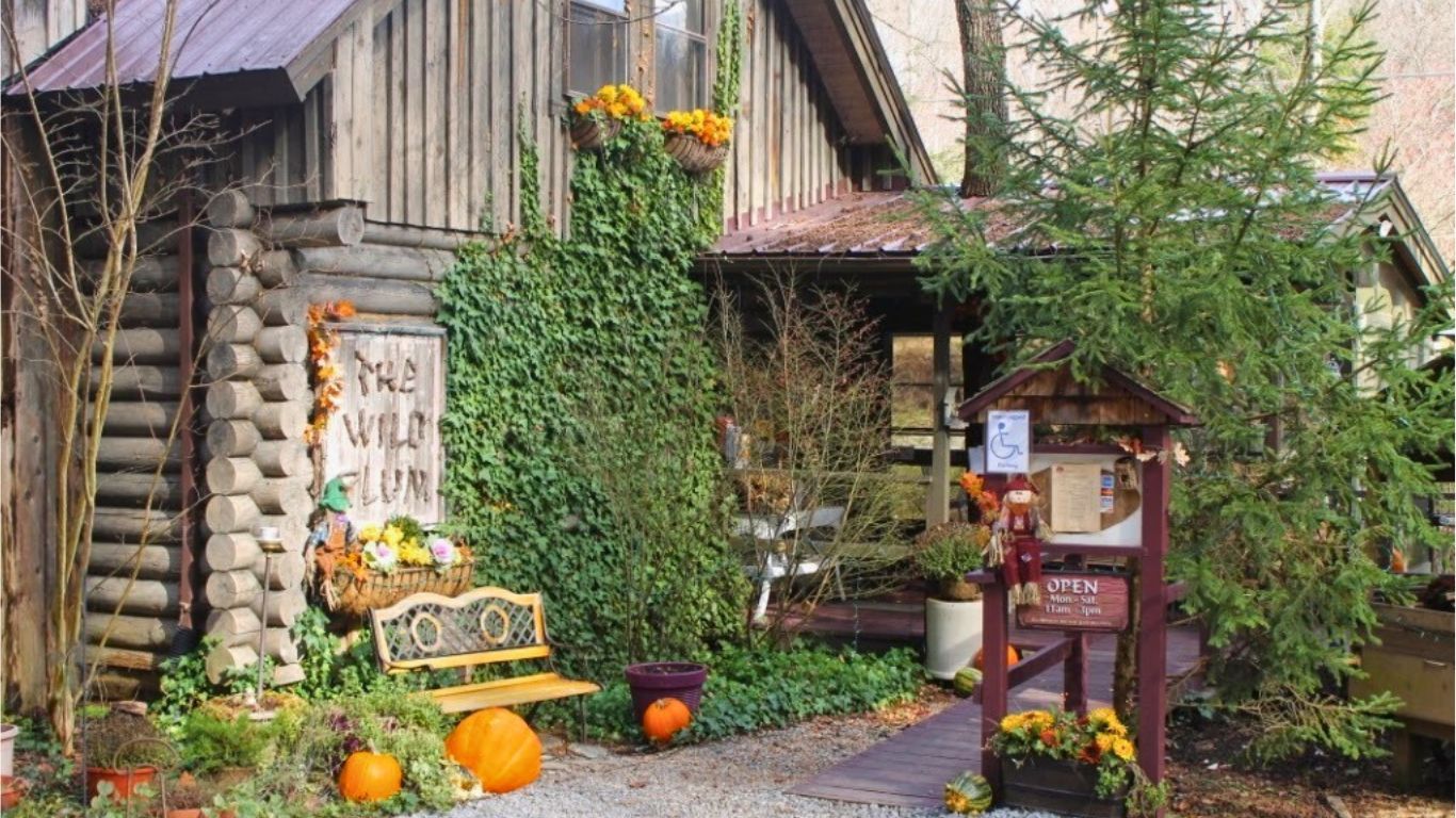 5 Unique Restaurants in Gatlinburg 5 Unique Restaurants in Gatlinburg