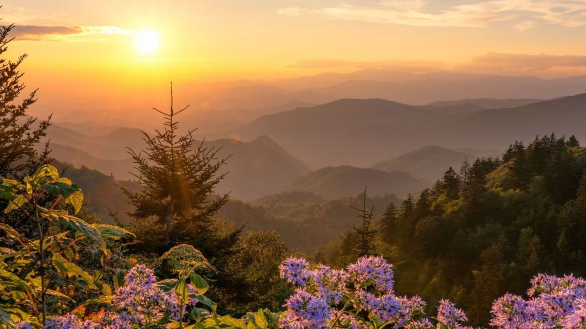 Best Sunset Spots in the Great Smoky Mountains National Park