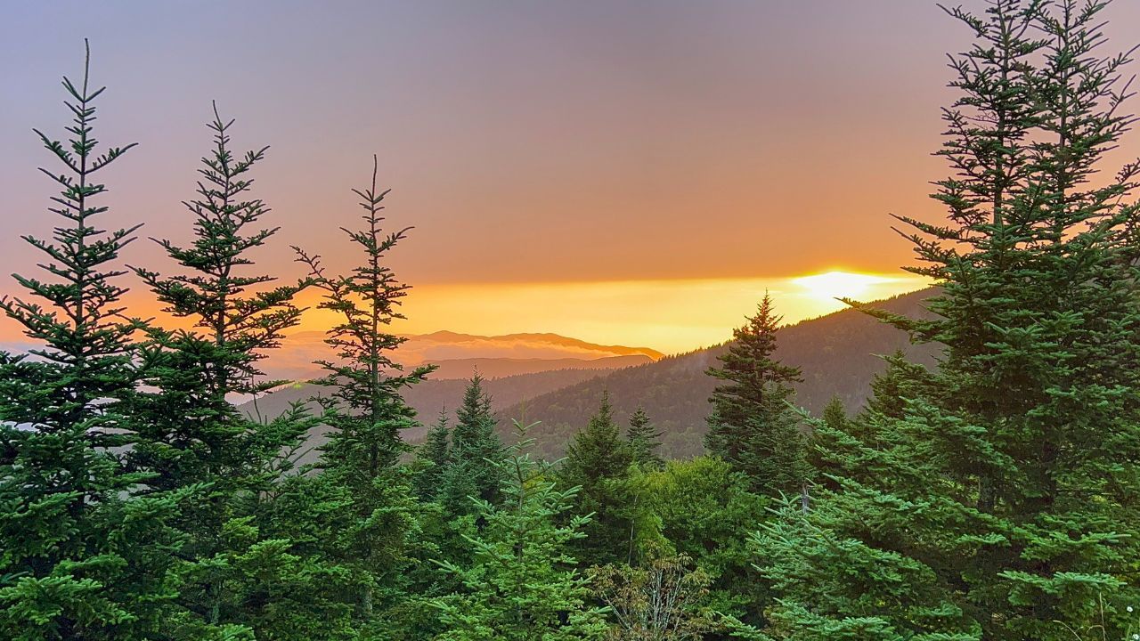 Discover the Unique Beauty of the Great Smoky Mountains Discover the Unique Beauty of the Great Smoky Mountains