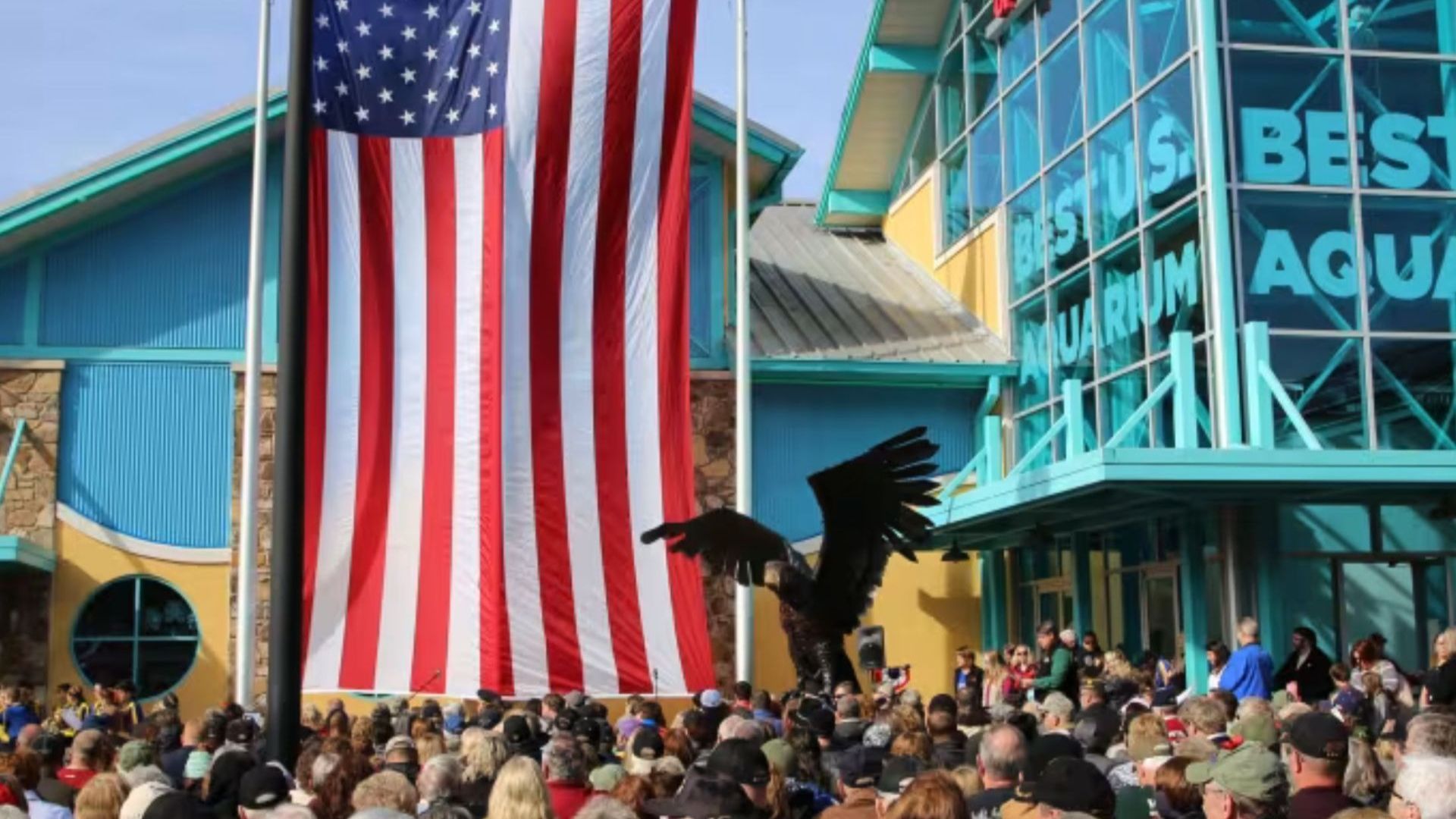 Veterans Day Celebration Veterans Day Celebration