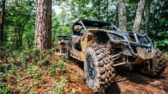 WildSide is the Baddest Adventure Park in Pigeon Forge