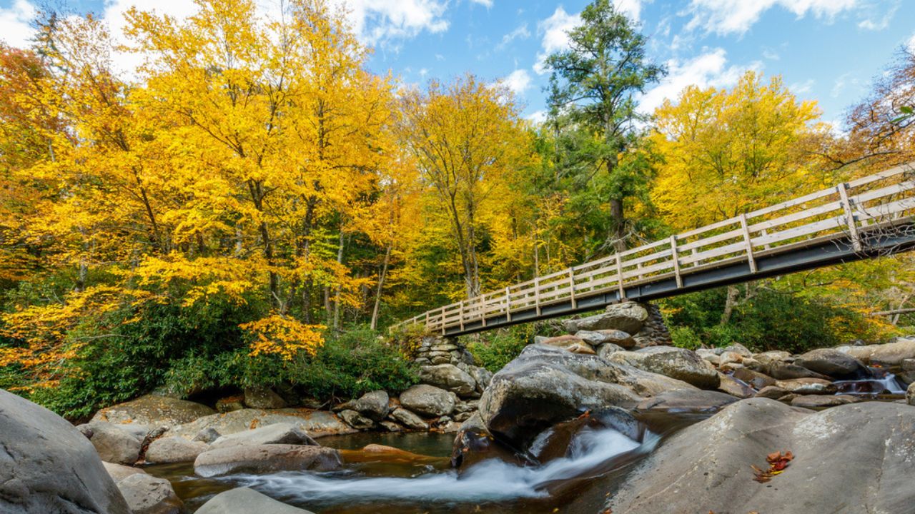 Top 6 Prettiest Areas in the Great Smoky Mountains Top 6 Prettiest Areas in the Great Smoky Mountains