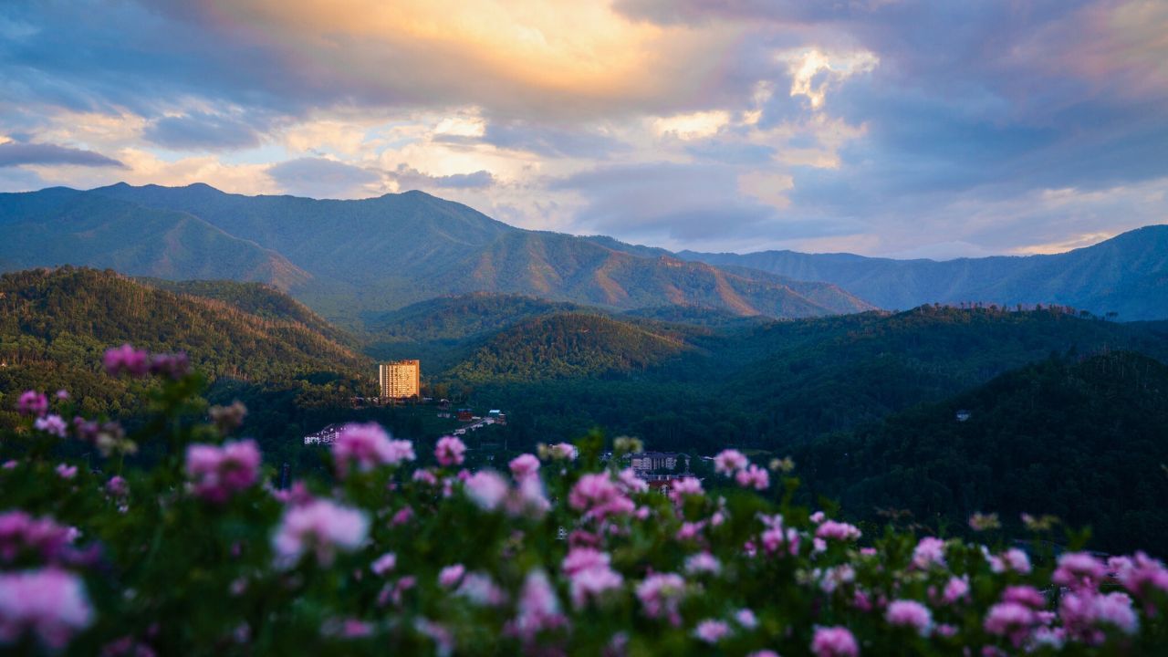 Top 7 Things to Do in the Smoky Mountains this March Top 7 Things to Do in the Smoky Mountains this March