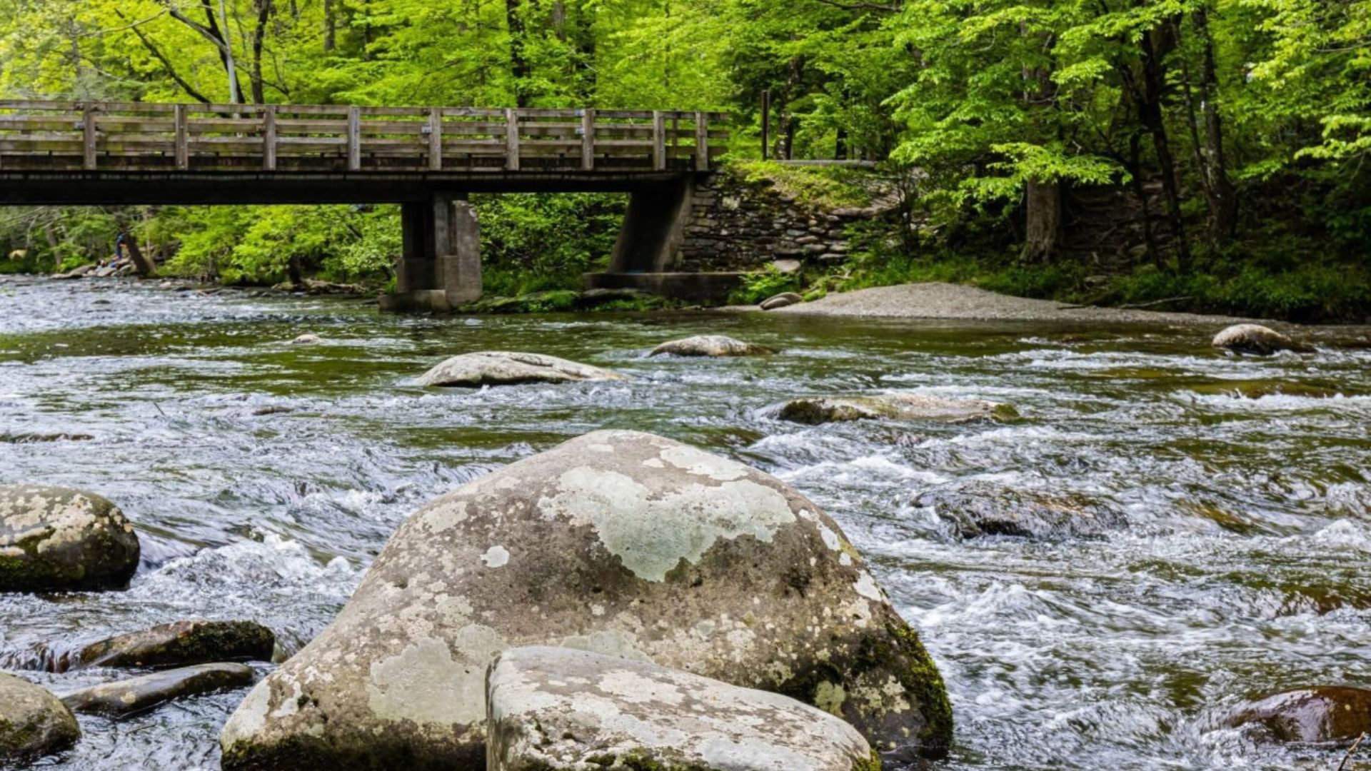 Best Picnic Spots in the Great Smoky Mountains: Scenic Settings for a Perfect Meal Best Picnic Spots in the Great Smoky Mountains: Scenic Settings for a Perfect Meal