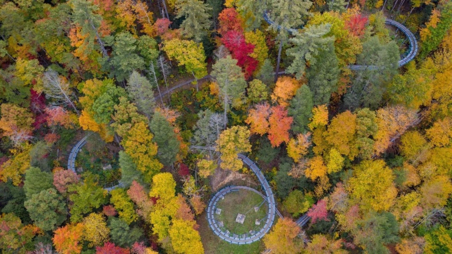 Moonshine Mountain Coaster Moonshine Mountain Coaster