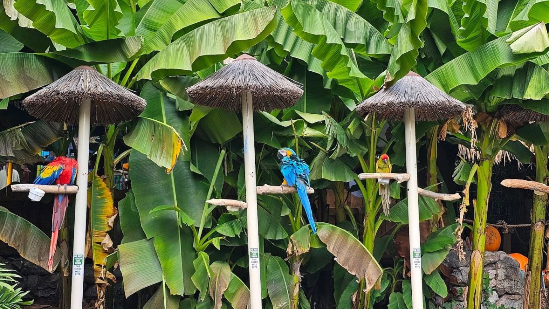 Parrot Mountain and Gardens Parrot Mountain and Gardens
