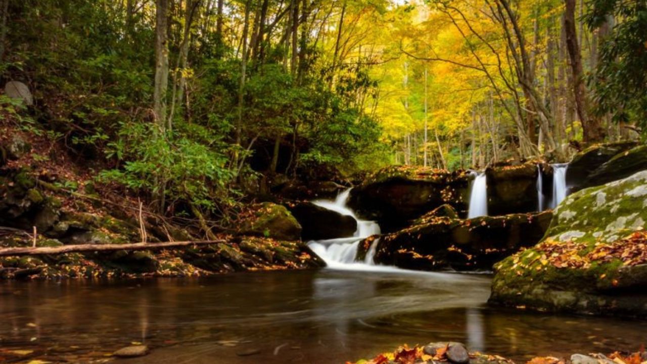 A waterfall framed by orange and yellow leaves in the Smoky Mountains.