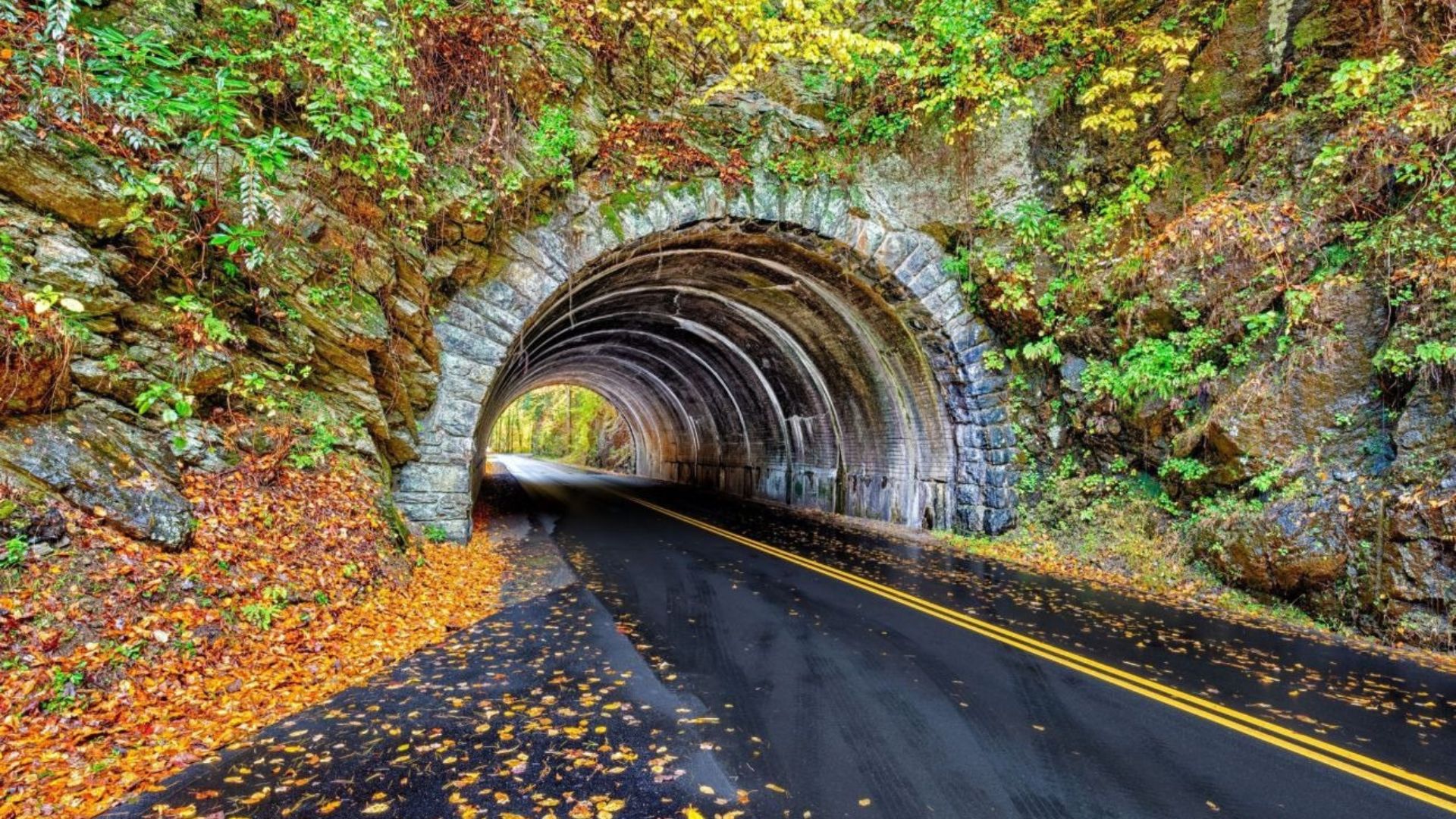 Scenic Drives in the Great Smoky Mountains: Experience Stunning Vistas and Waterfalls