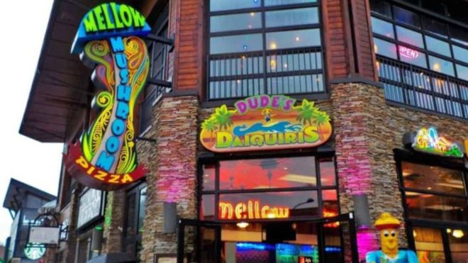 The 5 Best Places to Grab a Pizza in Gatlinburg