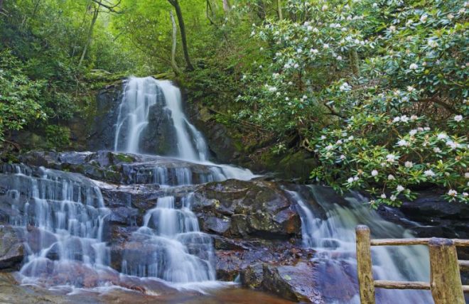 Most Beautiful Waterfalls in the Smoky Mountains
