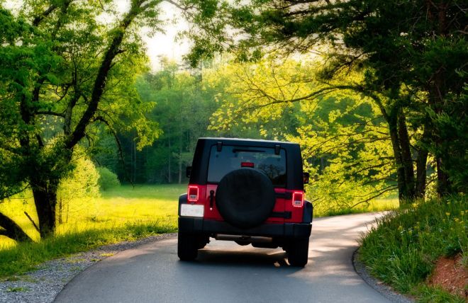 Leave No Trace in the Smokies: 7 Principles for Cabin Guests