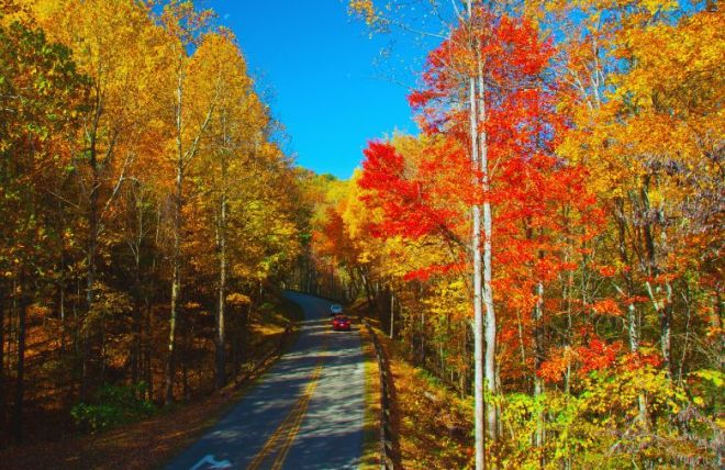 Top 5 Places to View Fall Colors in Pigeon Forge