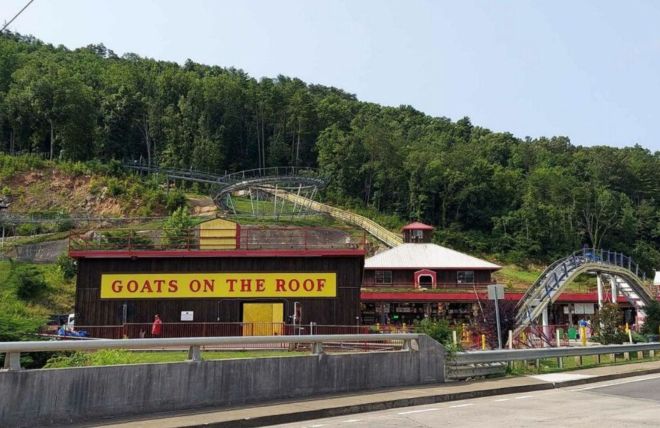 Image for Thing To Do Goats on the Roof