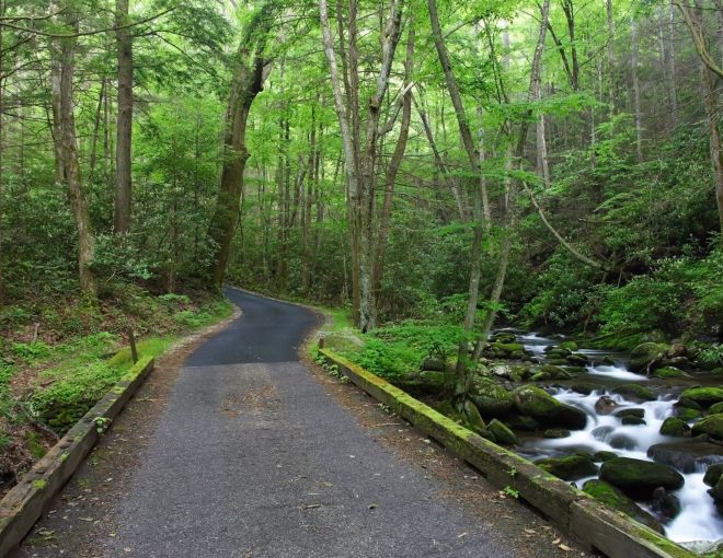 Image for Thing To Do Roaring Fork Motor Nature Trail