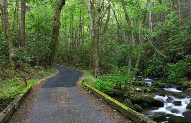 Image for Thing To Do Roaring Fork Motor Nature Trail