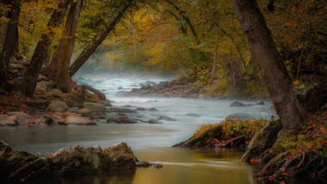 Exploring the Serene Alternatives to Cades Cove in the Great Smoky Mountains