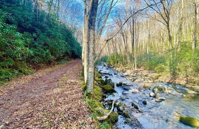 Image for Thing To Do Middle Prong Trail