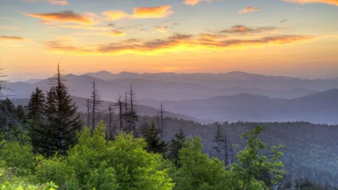 Gatlinburg vs. Pigeon Forge: Which is Right for You?