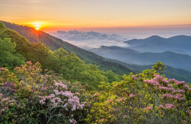 9 Reasons Why the Smoky Mountains Are the Top Destination for Nature Lovers